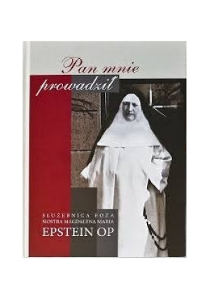 Pan mnie prowadził - książka  wyd. 2017