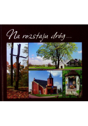 Na rozstaju dróg - Praca Zbiorowa - książka  wyd. 2013