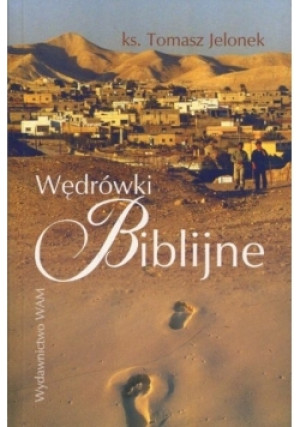 Wędrówki biblijne - Praca Zbiorowa - książka  wyd. 2004