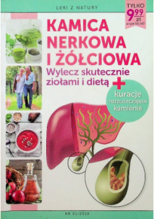Kamica nerkowa i żółciowa - książka  wyd. 2019