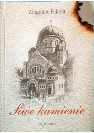Siwe Kamienie - Zbigniew Pakuła - książka  wyd. 1998