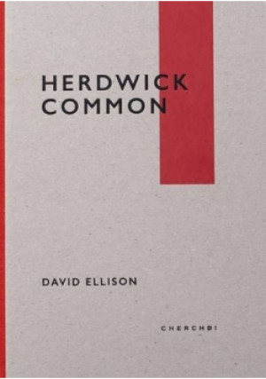 Herdwick Common - David Ellison - książka  wyd. 2014