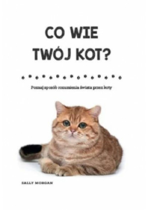 Co wie Twój kot? Poznaj sposób rozumienia świata.. - Morgan Sally - książka  wyd. 2021
