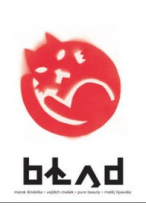 Błąd - Matej Lipavsky - książka  wyd. 2013