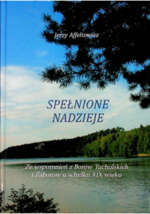 Spełnione nadzieje - Jerzy Affeltowicz - książka historyczna wyd. 2012