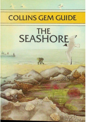 The Seashore - Susanna Ray - książka  wyd. 1984