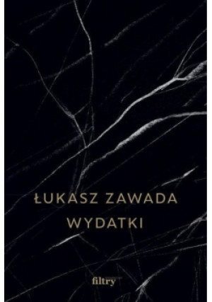 Wydatki - Łukasz Zawada - książka  wyd. 2021