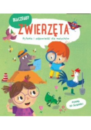 Dlaczego? Zwierzęta - Zbiorowa Praca - książka  wyd. 2022