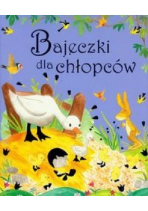 Bajeczki dla chłopców - książka  wyd. 2011