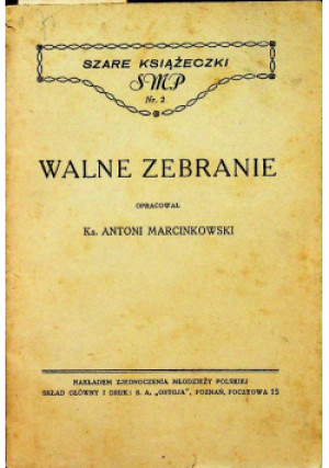 Walne zebranie - Antoni Marcinkowski - książka