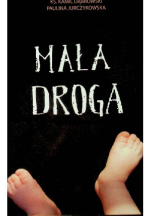 Mała droga - Kamil Dąbrowski - książka  wyd. 2015