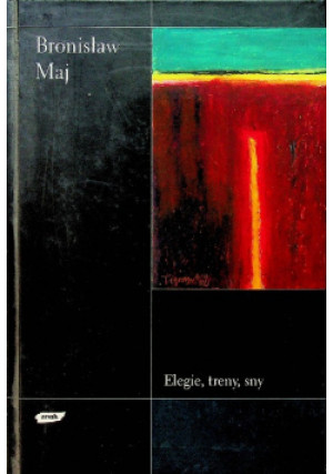 Jezus nauczyciel zbawienia - Anselm Grun - książka  wyd. 2003