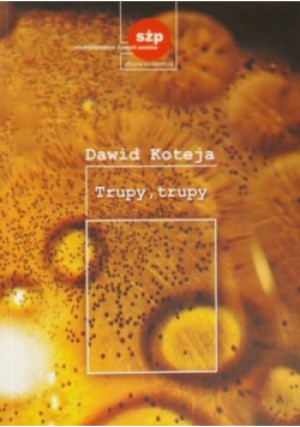 Trupy , trupy - Dawid Koteja - książka  wyd. 2009
