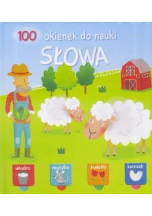 100 okienek do nauki. Słowa - książka  wyd. 2017