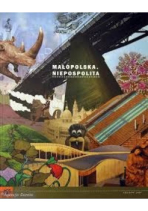 Małopolska Niepospolita - Katarzyna Bik - książka  wyd. 2008