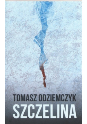 Szczelina - Tomasz Odziemczyk - książka  wyd. 2019