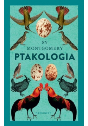 Ptakologia - Sy Montgomery - książka  wyd. 2018