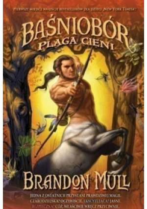 Baśniobór Plaga cieni - Brandon Mull - książka fantasy wyd. 2012
