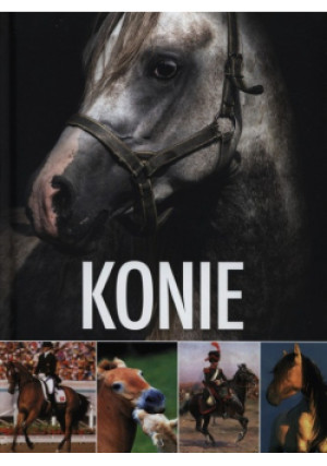 Konie - Maria Kulisa - książka  wyd. 2015