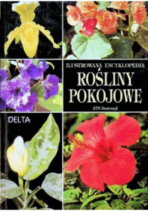Ilustrowana Encyklopedia Rośliny pokojowe - Anna Skalicka - książka