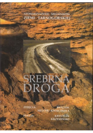 Srebrna droga - Krystian Krzemiński - książka