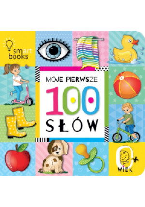 Moje pierwsze 100 słów - Praca Zbiorowa - książka  wyd. 2017