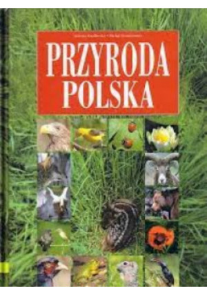 Przyroda polska - Jadwiga Knaflewska, Michał Siemionowicz - książka  wyd. 1999
