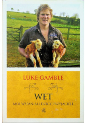 Wet - Luke Gamble - książka  wyd. 2012