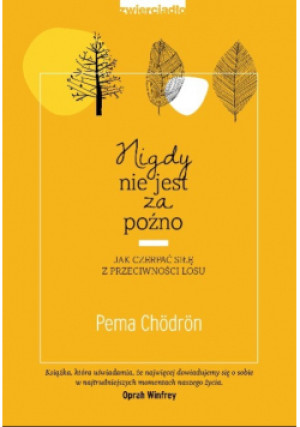 Nigdy nie jest za późno - Pema Chodron - książka  wyd. 2018
