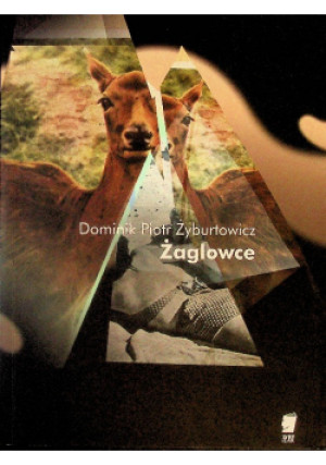 Żaglowce - Dominik Żyburtowicz - książka  wyd. 2015
