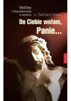 Do Ciebie wołam, Panie - Bernard-Marie - książka  wyd. 2015