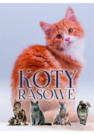 Koty rasowe - Praca Zbiorowa - książka  wyd. 2017