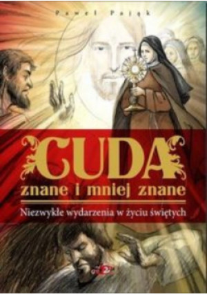 Cuda znane i mniej znane - Paweł Pająk - książka  wyd. 2013