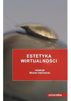 Estetyka wirtualności - Michał Ostrowicki - książka  wyd. 2005
