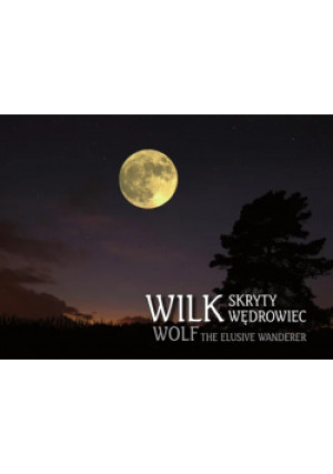 Wilk skryty wędrowiec - Praca Zbiorowa - książka  wyd. 2014