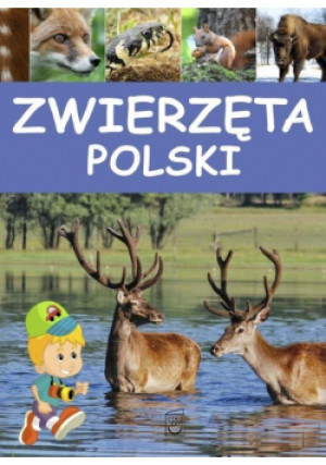 Zwierzęta Polski - Praca Zbiorowa - książka  wyd. 2015