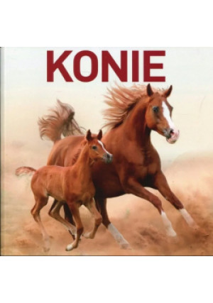 Konie - Jon Stroud - książka  wyd. 2016