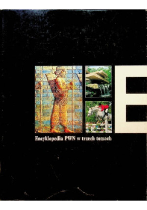 Encyklopedia Tom 3 - książka  wyd. 2002