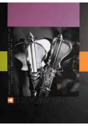 Buzdyganów 20 lat - Praca Zbiorowa - książka historyczna wyd. 2014