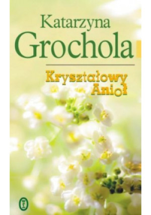 Kryształowy Anioł - Katarzyna Grochola - książka  wyd. 2009