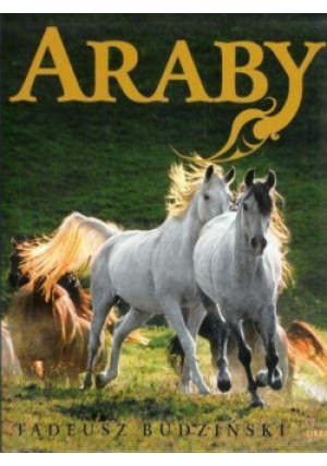 Araby Dzieci Wiatru - Tadeusz Budziński - książka  wyd. 2007
