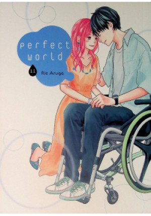 Perfect World Tom 11 - Rie Aruga - książka  wyd. 2019