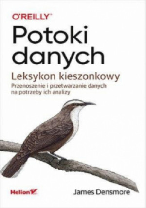 Potoki danych. Leksykon kieszonkowy - James Densmore - książka  wyd. 2023