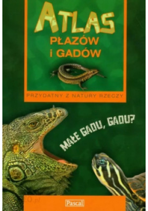Atlas płazów i gadów - Anna Przybyłowicz - książka  wyd. 2009
