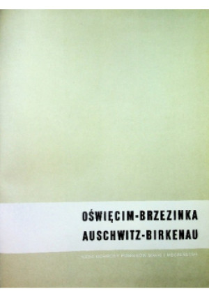 Oświęcim Brzezinka Auschwitz - Adam Bujak - książka