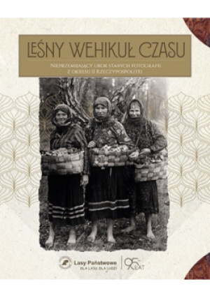 Leśny wehikuł czasu - książka historyczna wyd. 2019