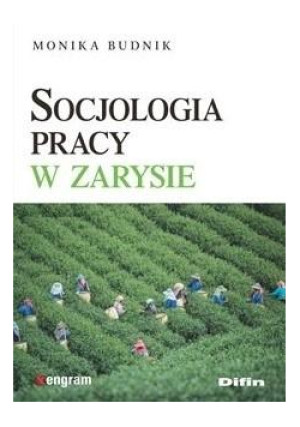 Socjologia pracy w zarysie - Budnik Monika - książka  wyd. 2019