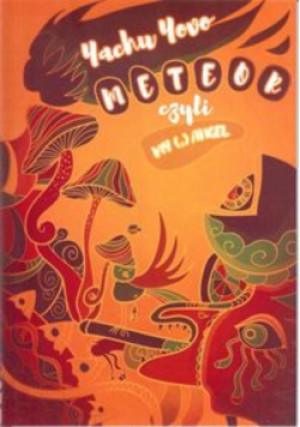 Meteor czyli My - książka  wyd. 2017
