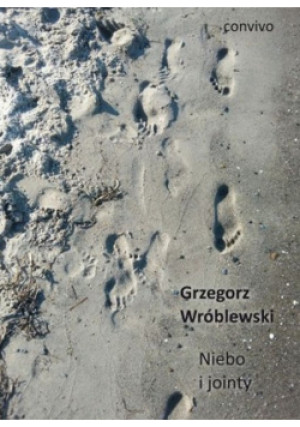 Niebo i jointy - Grzegorz Wróblewski - książka  wyd. 2023