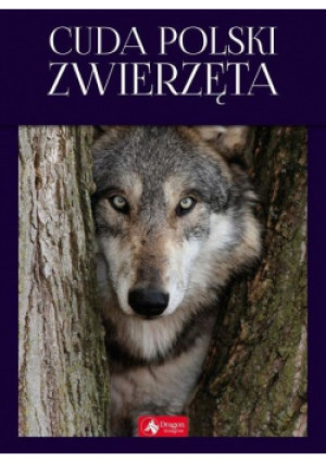 Cuda Polski Zwierzęta - Łukasz Przybyłowicz - książka  wyd. 2019